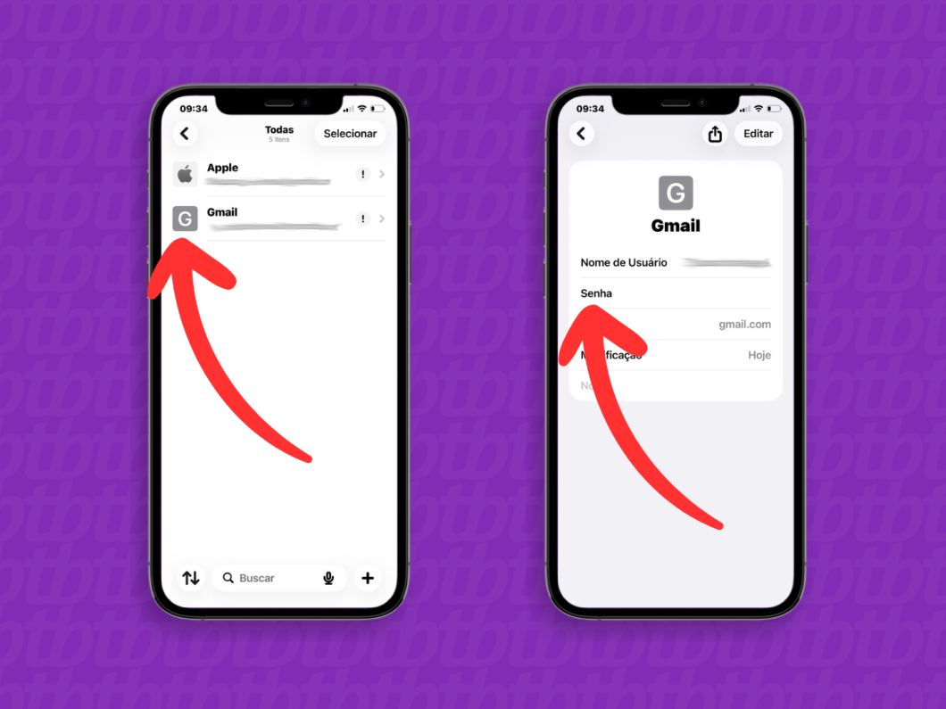 Duas telas do app Senhas do iPhone mostrando a credencial do Gmail e o campo “Senha” sendo preparado para visualização