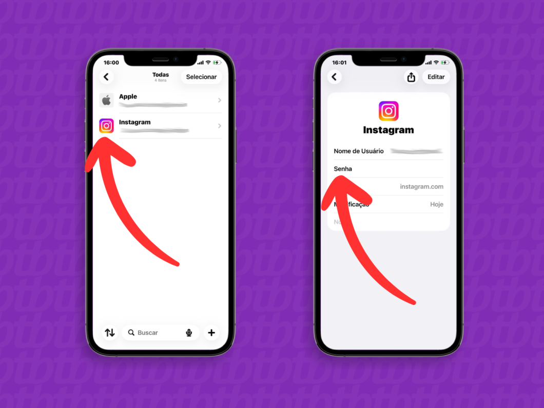 Mostra o app Senhas da Apple com as credenciais do Instagram selecionadas para visualizar o campo de senha