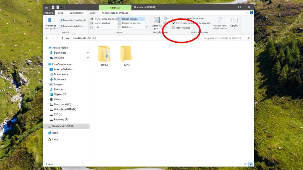 Mostrando arquivos ocultos no Explorador de Arquivos do Windows